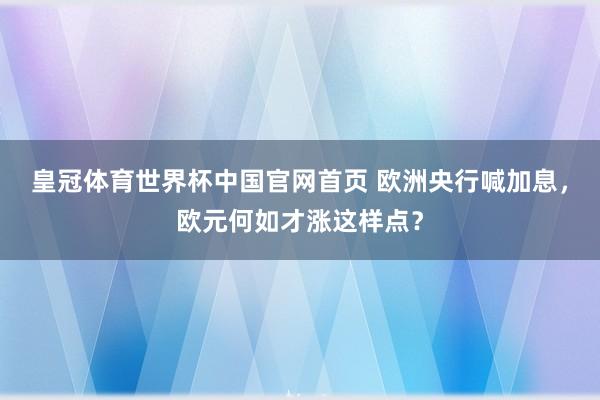 皇冠体育世界杯中国官网首页 欧洲央行喊加息,欧元何如才涨这样点?
