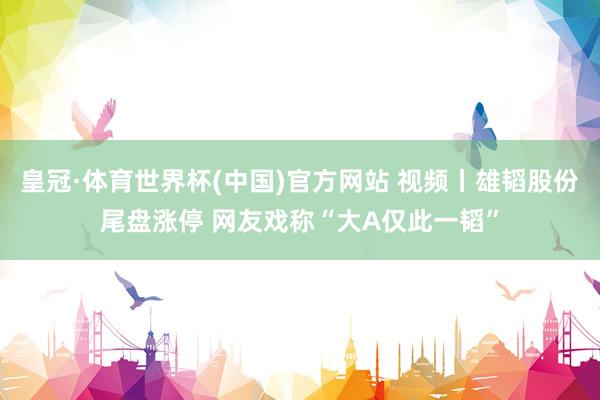 皇冠·体育世界杯(中国)官方网站 视频丨雄韬股份尾盘涨停 网友戏称“大A仅此一韬”