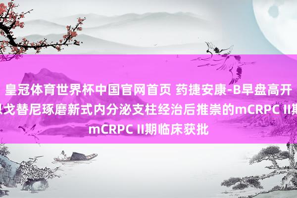 皇冠体育世界杯中国官网首页 药捷安康-B早盘高开逾8% 替恩戈替尼琢磨新式内分泌支柱经治后推崇的mCRPC II期临床获批