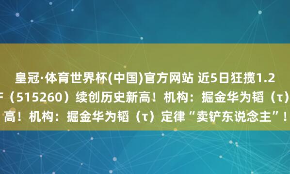 皇冠·体育世界杯(中国)官方网站 近5日狂揽1.2亿元!华宝基金电子ETF(515260)续创历史新高!机构:掘金华为韬(τ)定律“卖铲东说念主”!