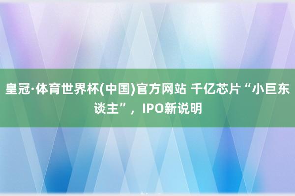 皇冠·体育世界杯(中国)官方网站 千亿芯片“小巨东谈主”,IPO新说明