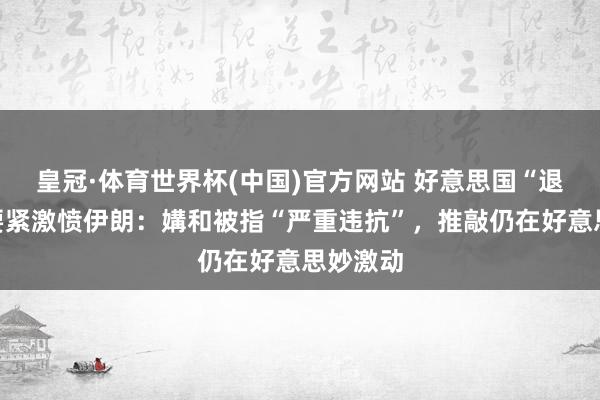 皇冠·体育世界杯(中国)官方网站 好意思国“退缩性”要紧激愤伊朗:媾和被指“严重违抗”,推敲仍在好意思妙激动