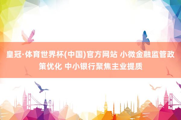 皇冠·体育世界杯(中国)官方网站 小微金融监管政策优化 中小银行聚焦主业提质