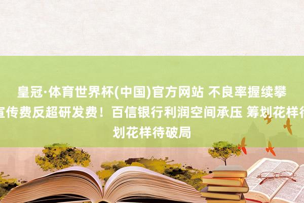 皇冠·体育世界杯(中国)官方网站 不良率握续攀升、宣传费反超研发费!百信银行利润空间承压 筹划花样待破局