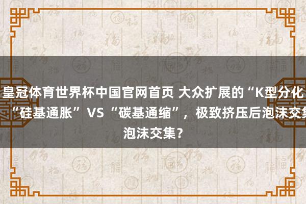 皇冠体育世界杯中国官网首页 大众扩展的“K型分化”:“硅基通胀” VS “碳基通缩”,极致挤压后泡沫交集?