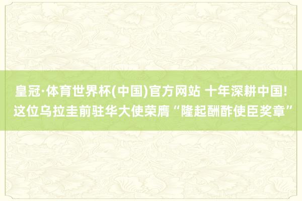 皇冠·体育世界杯(中国)官方网站 十年深耕中国! 这位乌拉圭前驻华大使荣膺“隆起酬酢使臣奖章”