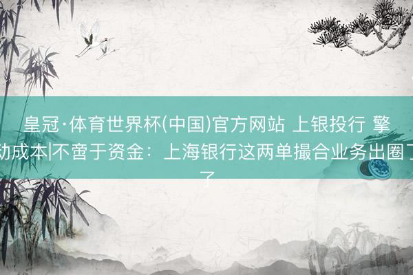 皇冠·体育世界杯(中国)官方网站 上银投行 擎动成本|不啻于资金:上海银行这两单撮合业务出圈了