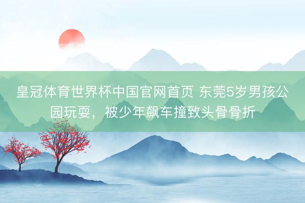 皇冠体育世界杯中国官网首页 东莞5岁男孩公园玩耍，被少年飙车撞致头骨骨折